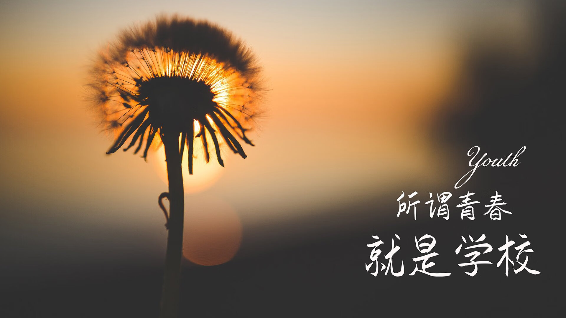“法甲豪门对决，胜负关系到榜首位置”，法甲豪门俱乐部