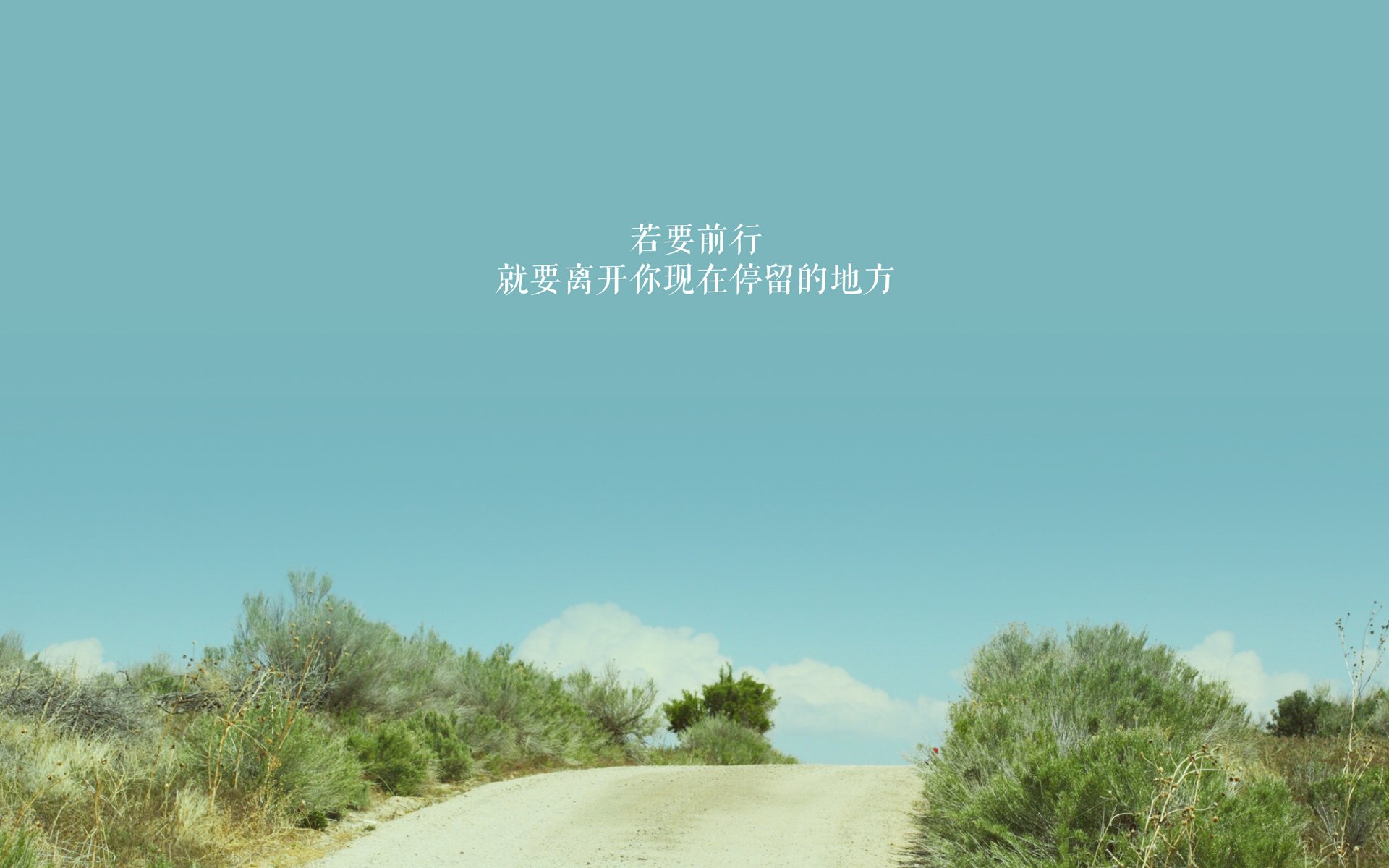 “球场大咖秀：明星球员的非凡绝技”，球星打比赛