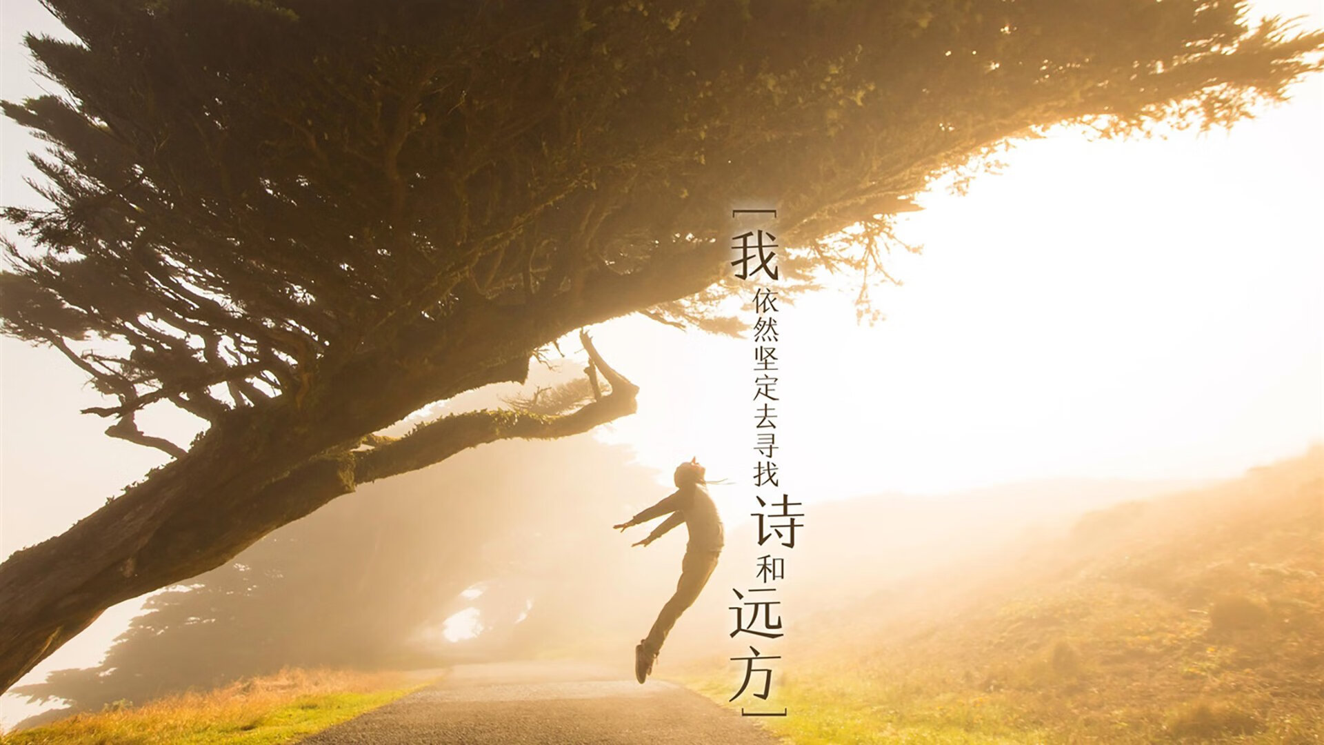 历史性田径三项全能金牌得主，历史性田径三项全能金牌得主是谁
