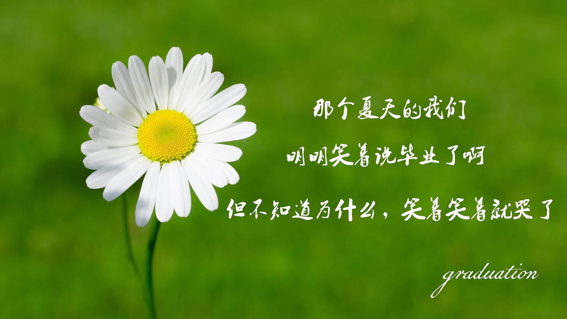 kaiyun.com-体育产业绿色发展规划，体育产业方案
