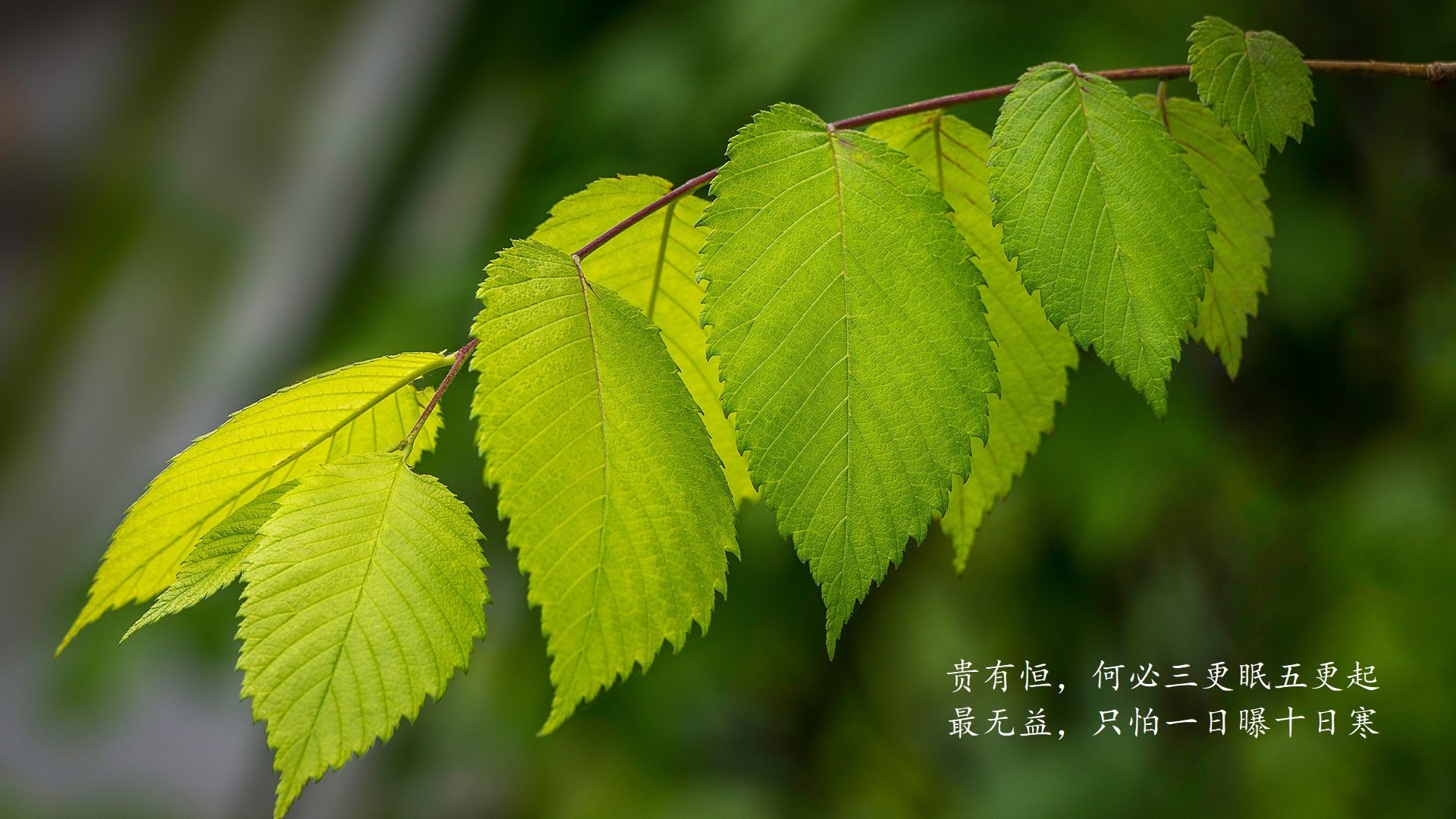 开云·体育全站登录地址-中国女篮提高防守能力，中国女篮变强了