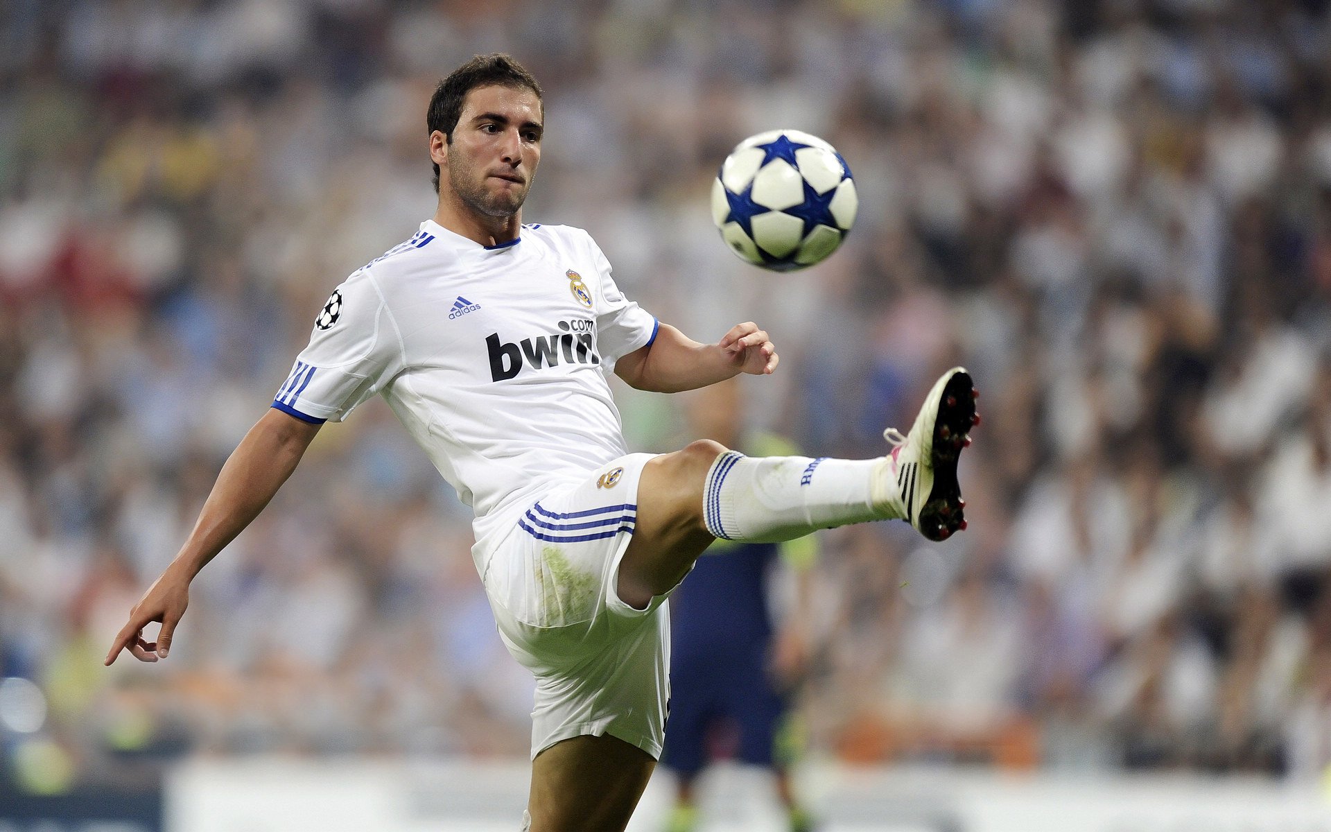 逆袭豪门梦：那些从不被看好的球队逆转成功的故事，关于豪门逆袭的小说推荐